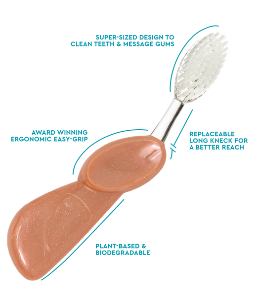 Radius Big Brush with Replaceable Head