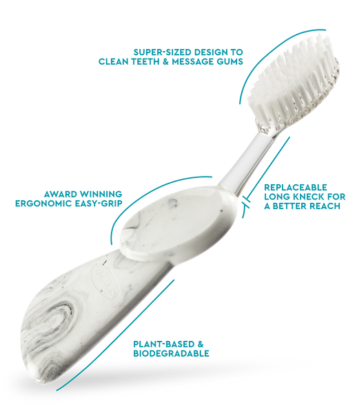 Radius Big Brush with Replaceable Head